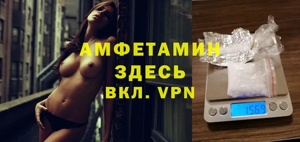 индика Вяземский