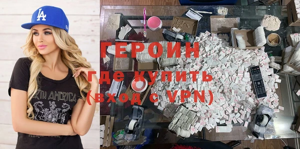 индика Вяземский