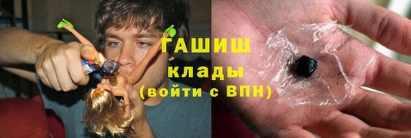 индика Вяземский