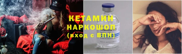 индика Вяземский