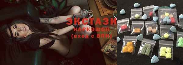 индика Вяземский
