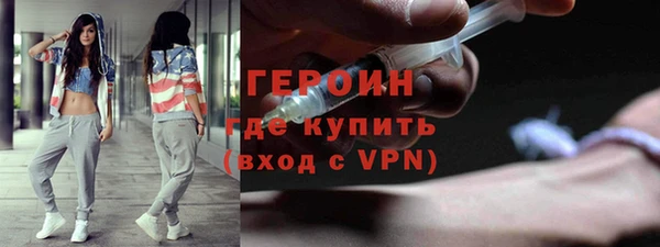 индика Вяземский