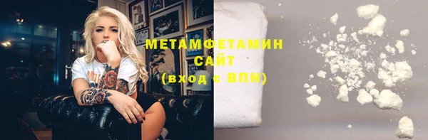 индика Вяземский