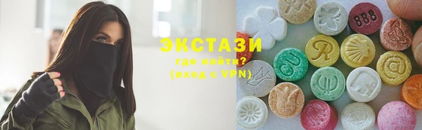 индика Вяземский