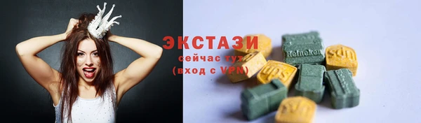 индика Вяземский