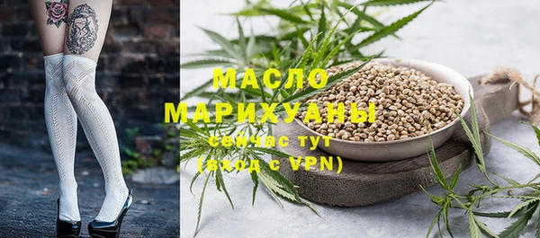 индика Вяземский