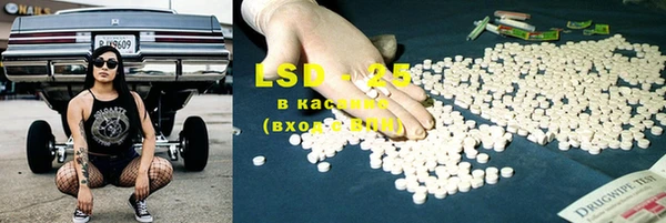 индика Вяземский