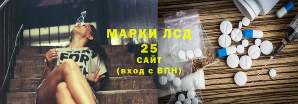 индика Вяземский