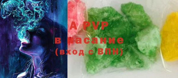 индика Вяземский