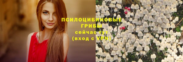 индика Вяземский