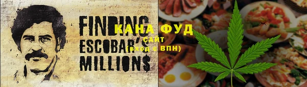 индика Вяземский